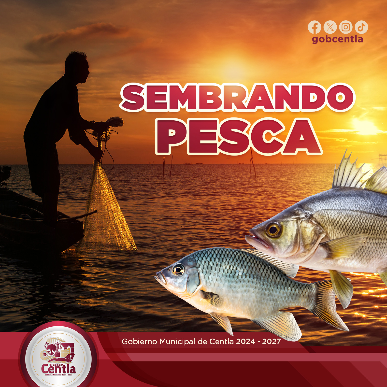 Banner Sembrando Pesca