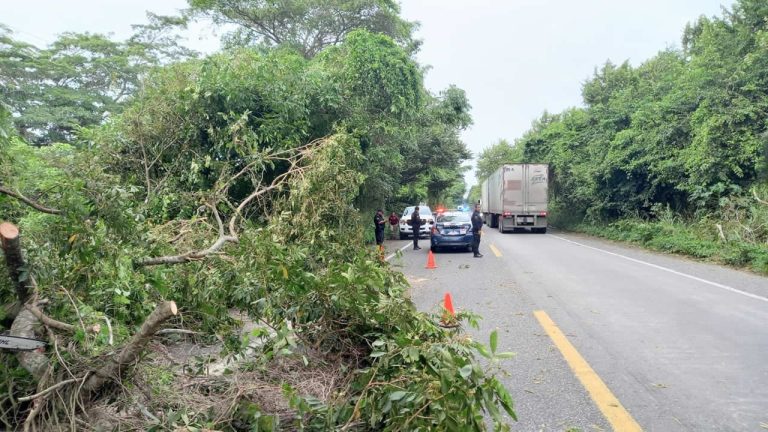 462437173_122112619046528578_7664529529108674173_n