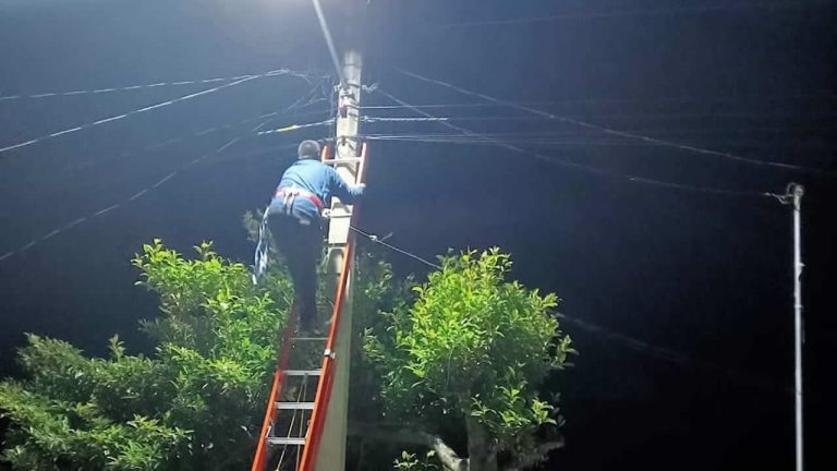 462448871_122112711806528578_3245407015347470715_n