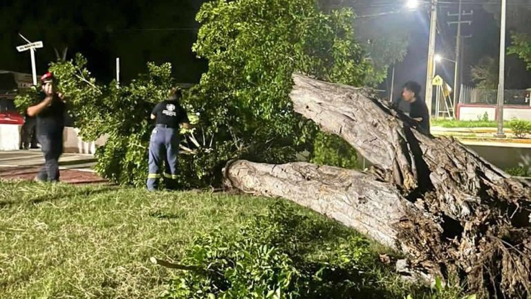 462483861_122112385856528578_7543963631900522600_n