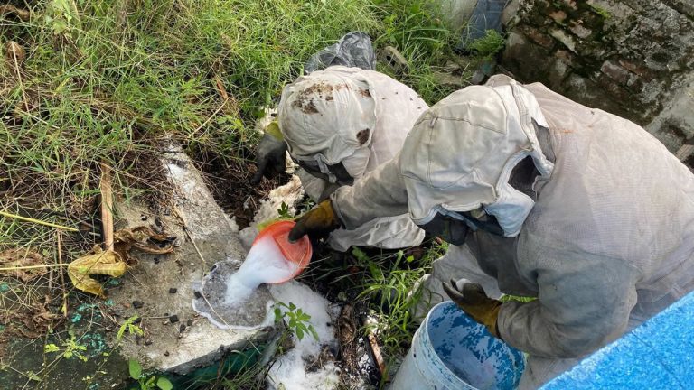 462504753_122112686582528578_8932420562539362947_n