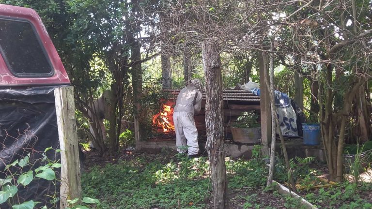 462622923_122112907016528578_3493956655489296627_n