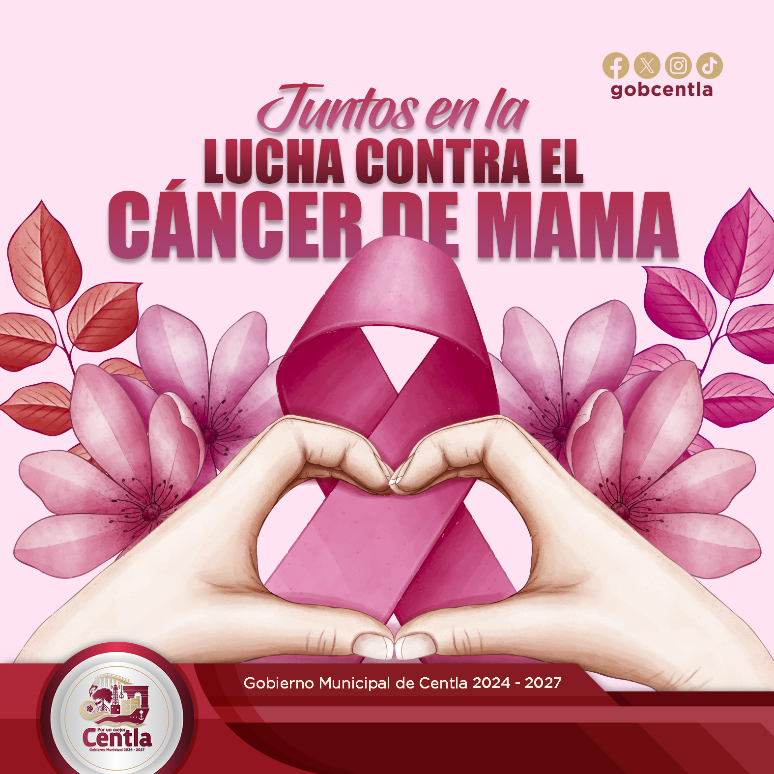 Banner Cáncer de Mama