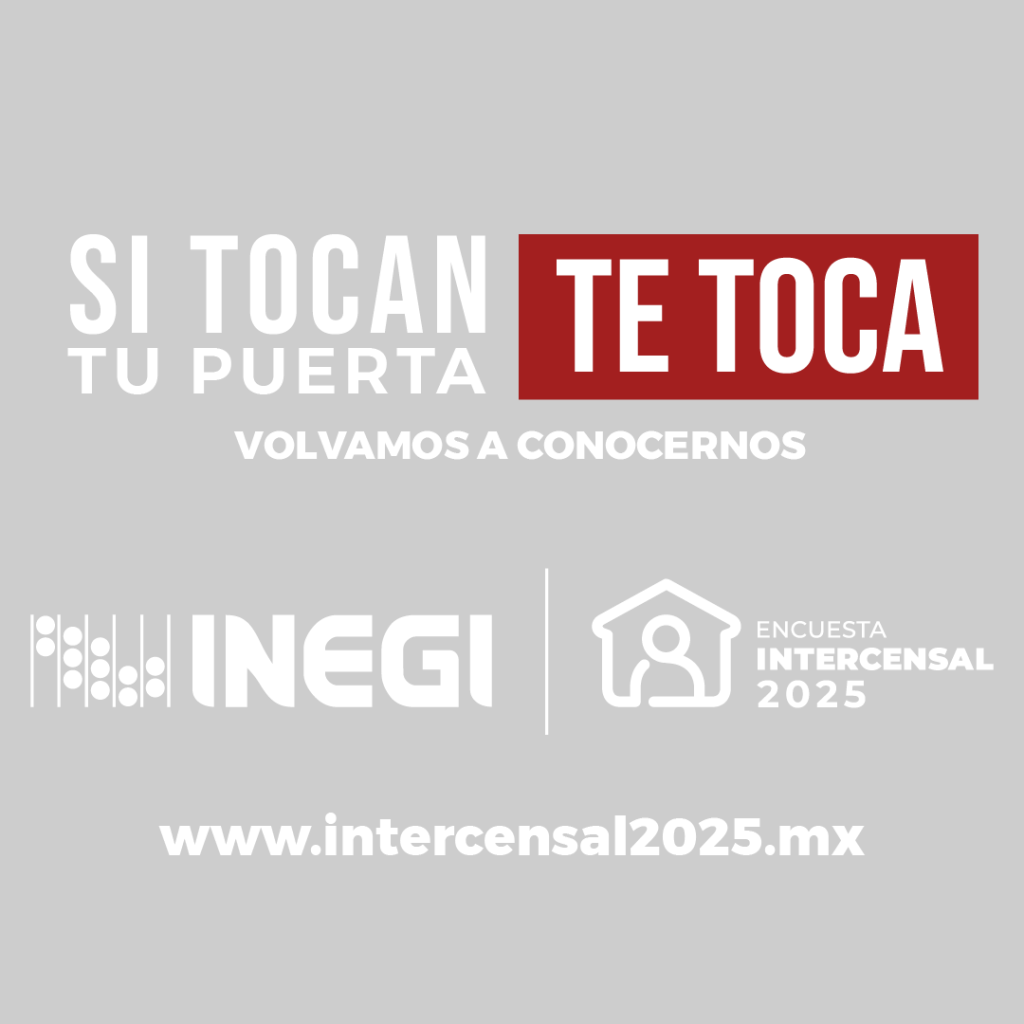 Banner INEGI 2025