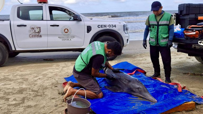 605894371_122183021666528578_7240761636976639004_n